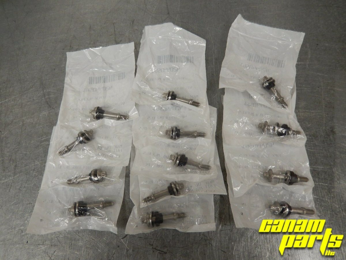13 Torx Clutch Head Bolt Set CVT Cover Bolts Canam Parts Guy