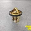 NEW OEM Thermostat 420222494 - Image 2