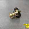 NEW OEM Thermostat 420222494