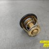 NEW OEM Thermostat 420222494 - Image 3