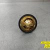 NEW OEM Thermostat 420222494 - Image 4
